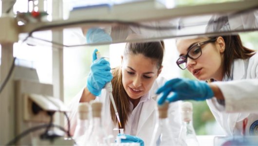 Qingdao Golden Gulf Marine Biotech Co.,Ltd. 02