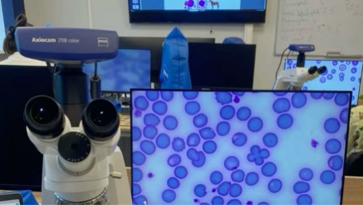 Qingdao Golden Gulf Marine Biotech Co.,Ltd. 01