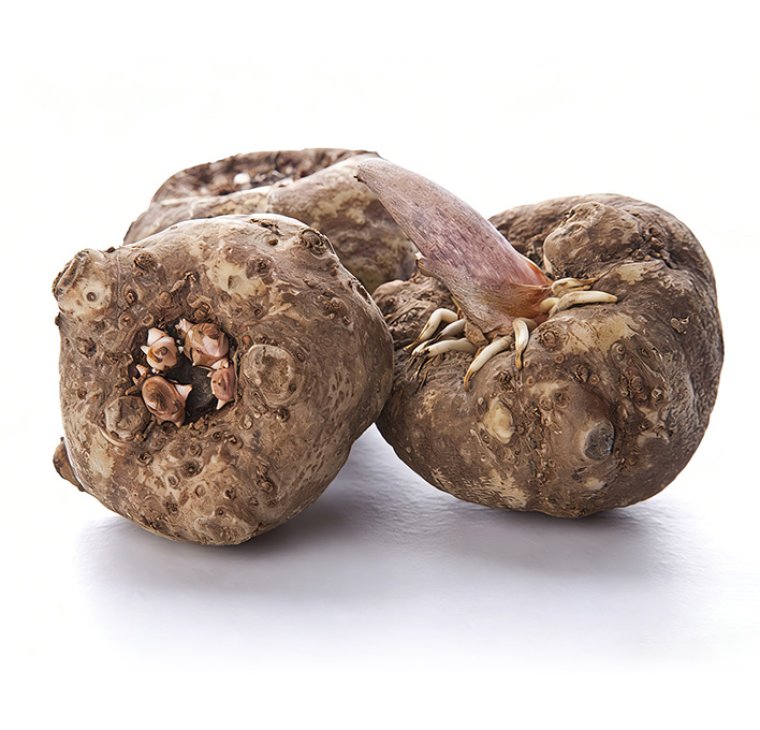 Konjac Micro Flour Series