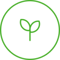 Natural plant origin